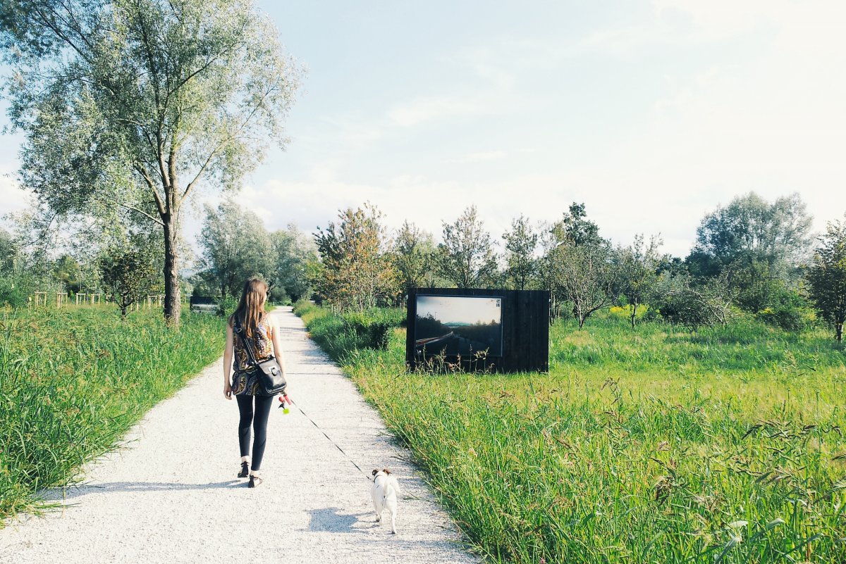 town park was the first in a series of steps on the path of connecting Ljubljana and Landscape park Barje