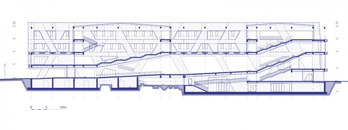 Longitudinal section