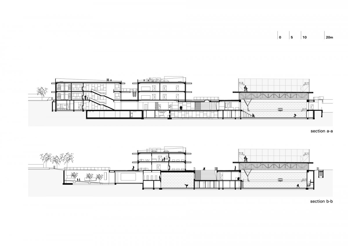 longitudinal sections