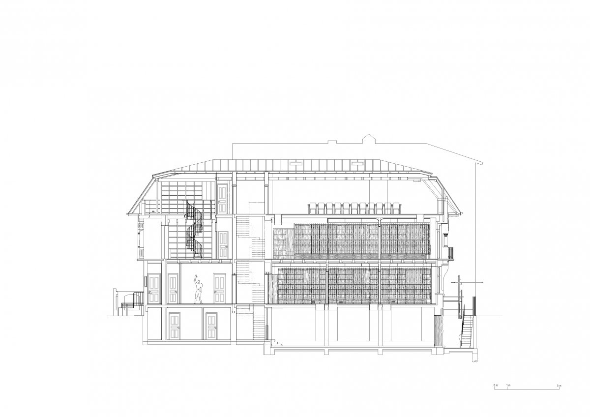 Longitudinal Section